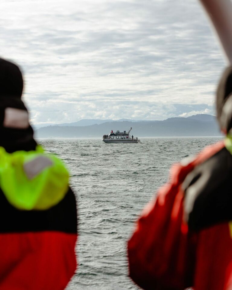 Mariner Profession: Key Skills and Requirements | AVANT